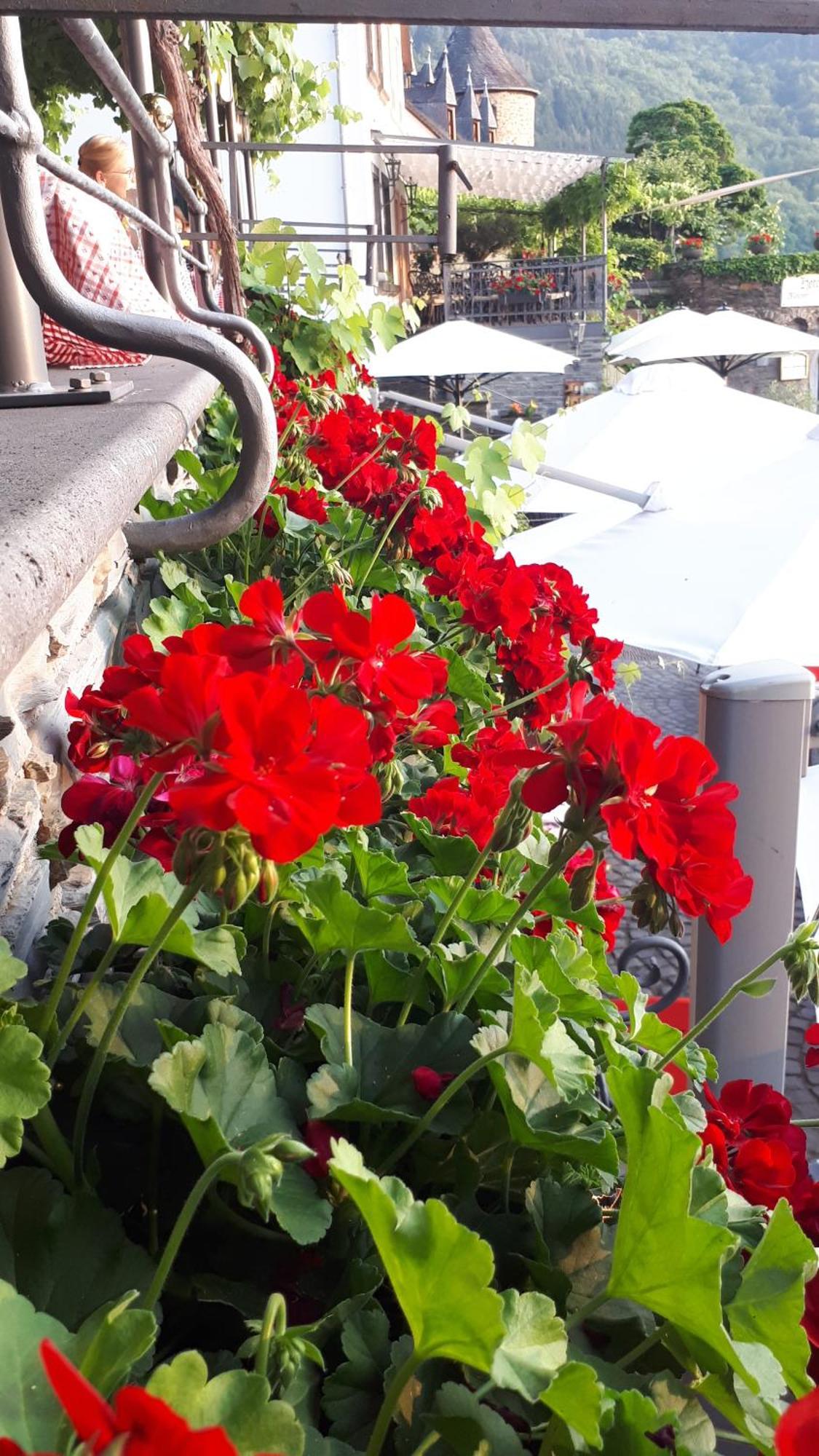 Hotel Restaurant Alte Stadtmauer Beilstein  Bagian luar foto